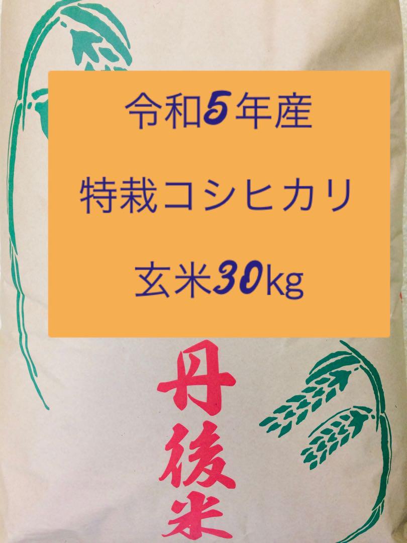 どんとこい新米入荷！令和5年産「丹後産コシヒカリ」玄米30㎏ 送料・標準精米無料サービス！