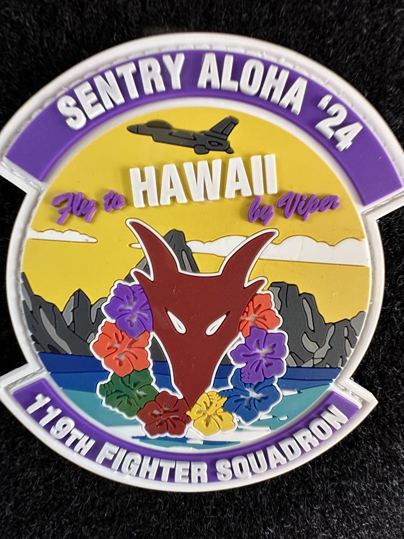 USAF 119th Fighter Squadron パッチ