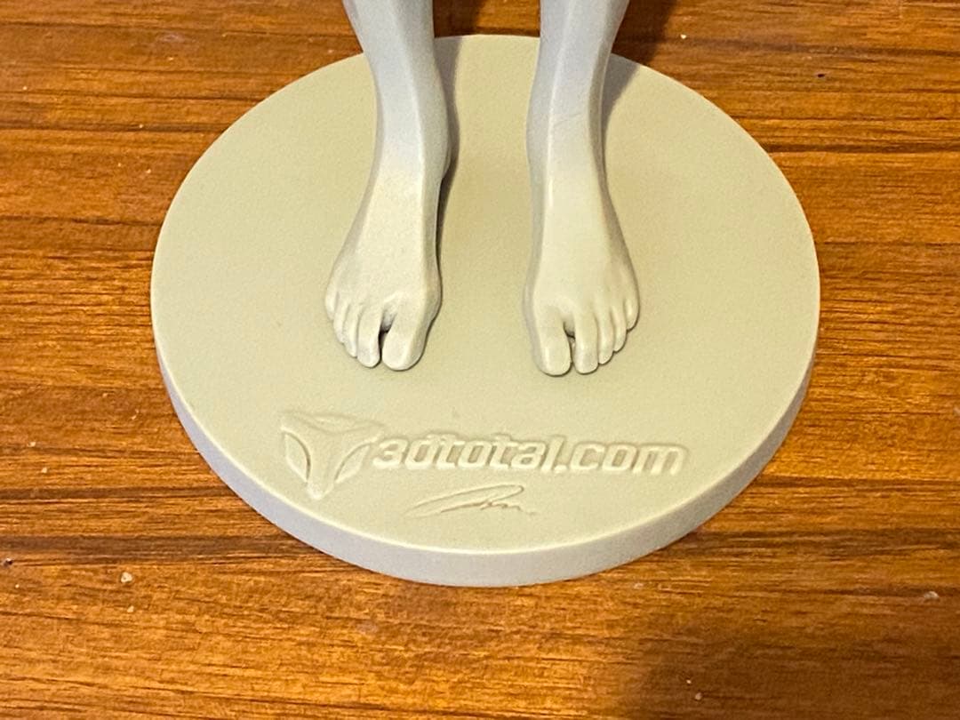 3dtotal Anatomy male アナトミー フィギュア ④ 3dtotal Anatomy male アナトミー フィギュア ④