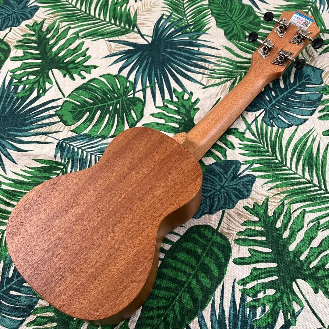 【music ukulele】ドルフィン・エレキソプラノウクレレ【UK専門店】 music ukulele】ドルフィン・エレキソプラノウクレレ【UK専門店