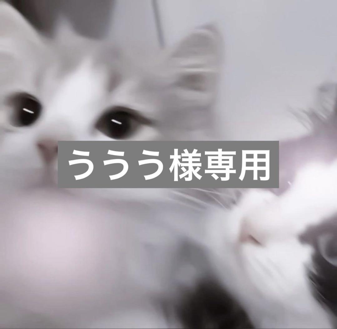アニメ キャラクター 紙類 紙雑貨 3000枚 大量 まとめ売り トレカ無し