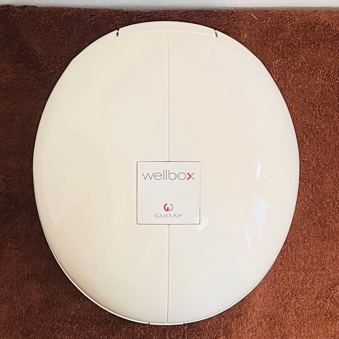 ウェルボックス エンダモロジー 痩身エステ 痩身マシン セルライトケア