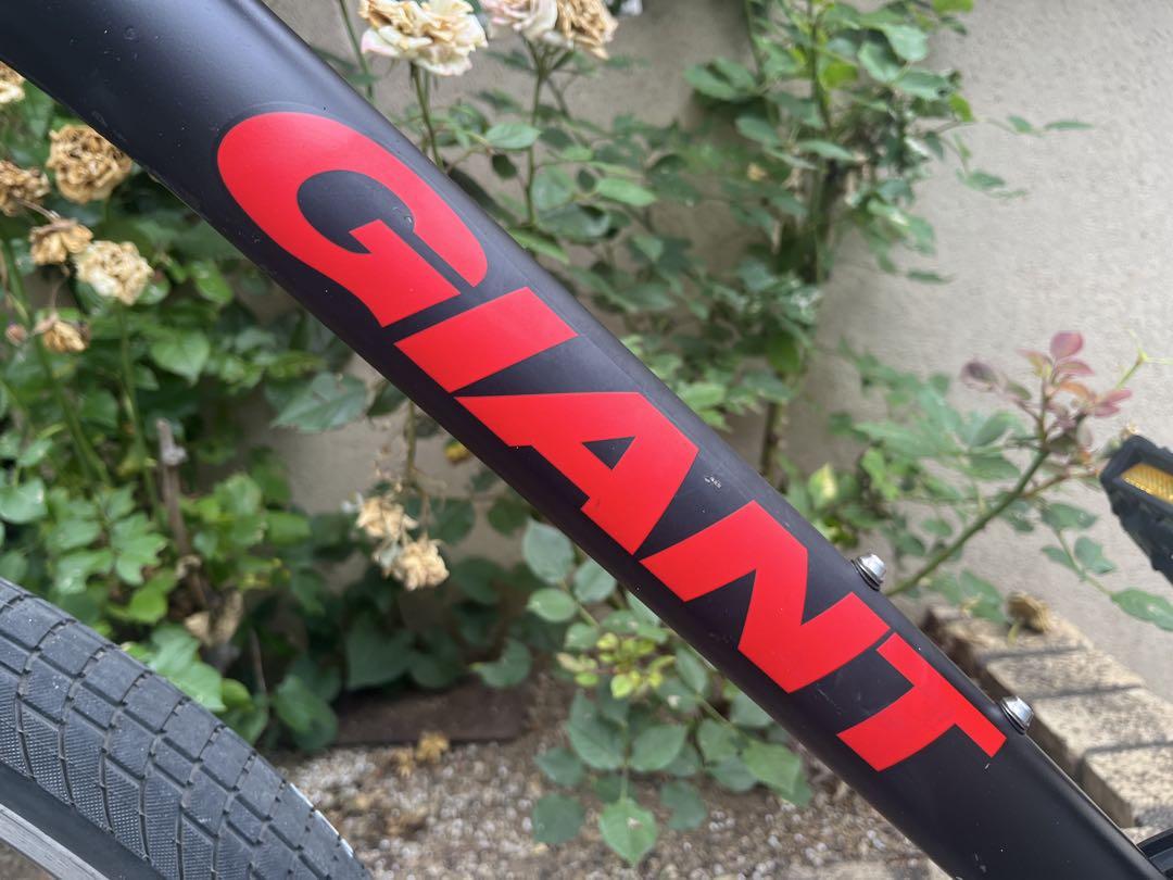 GIANT SNAP マウンテンバイク 26インチ Sサイズ ブラック