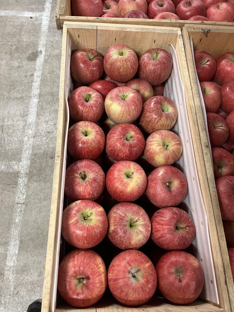 青森県産！希少！葉とらずサンふじ 5kg (13〜20個入り)
