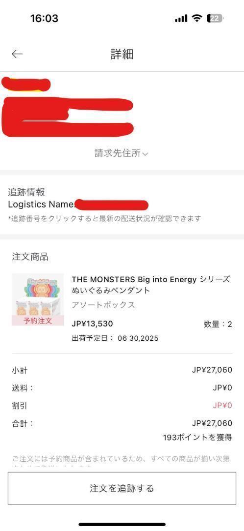 THE MONSTERS Big into Energy labubu 平静 1