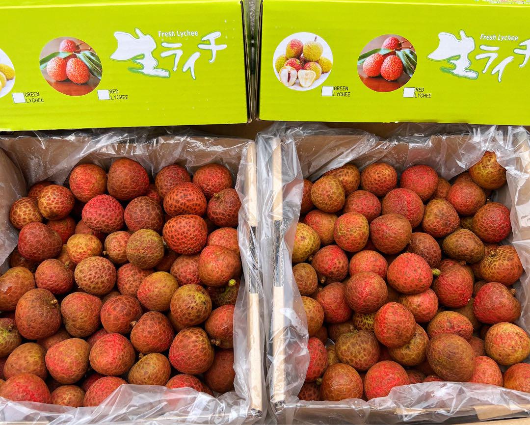 34.新鮮青果生新鮮ライチ箱込み2kgクール便 専用箱こみ2kg‼️クール便‼️新鮮 生ライチ フルーツ 玉荷包荔枝