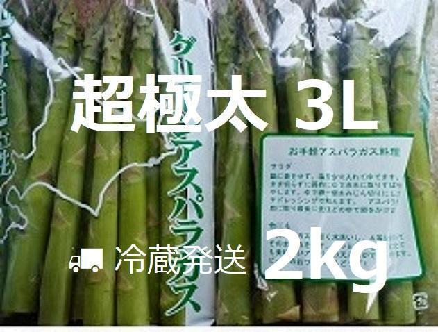 伊豆天城産山葵市場規格500グラム