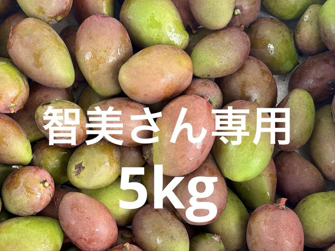 智美さん専用5kg