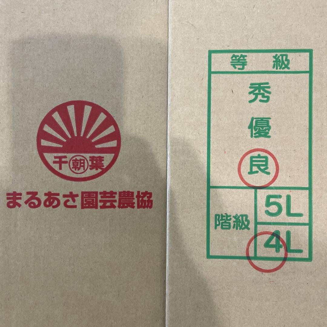 0598千葉県産丸朝大玉スイカ良品4Lサイズ1箱2玉入り 0267千葉県産丸朝大玉スイカ良品4Lサイズ1箱2玉入り - メルカリ