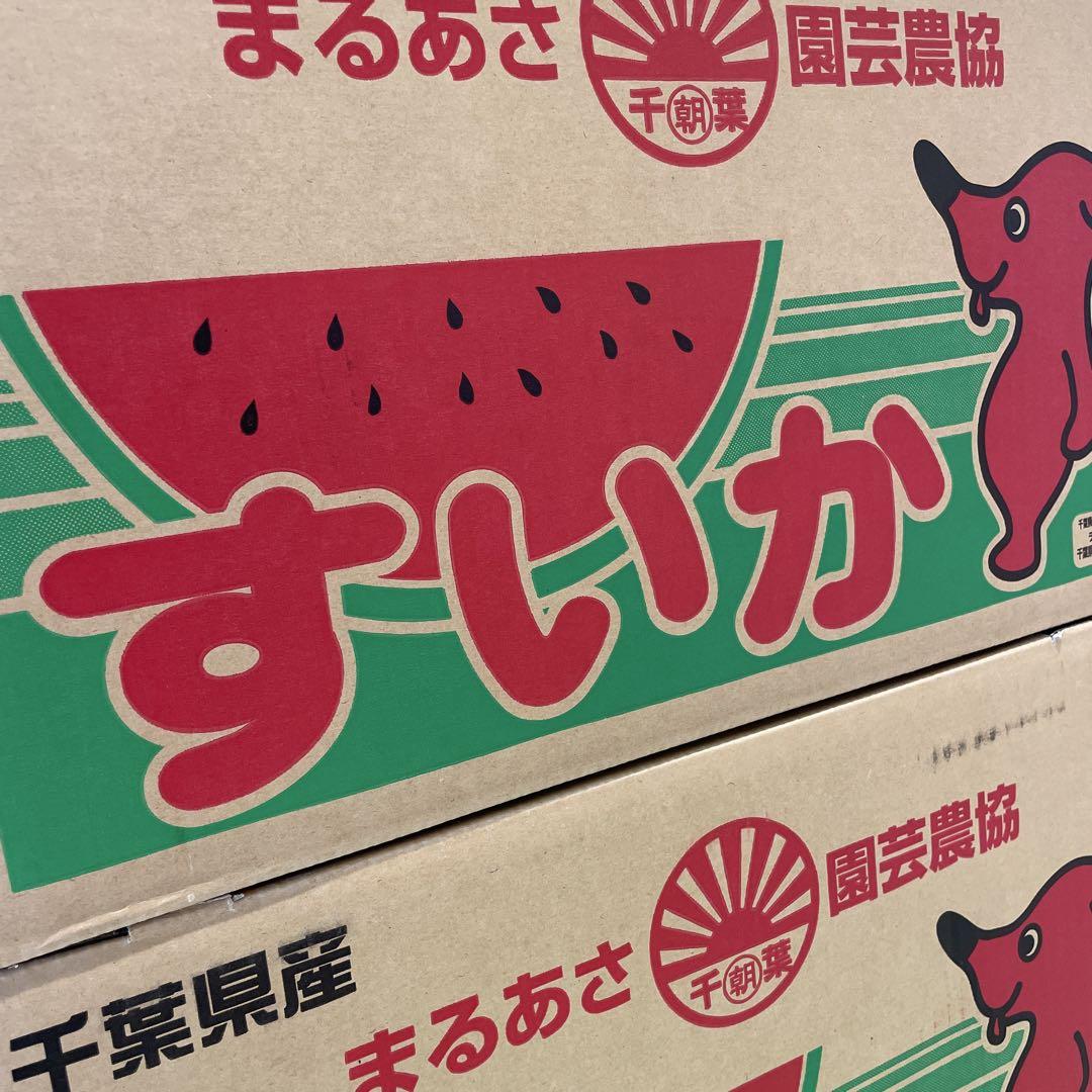 0598千葉県産丸朝大玉スイカ良品4Lサイズ1箱2玉入り 0239千葉県産丸朝大玉スイカ良品4Lサイズ1箱2玉入り - メルカリ
