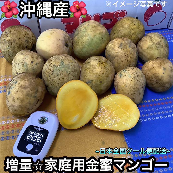 沖縄産★家庭用金蜜マンゴー 4.8kg