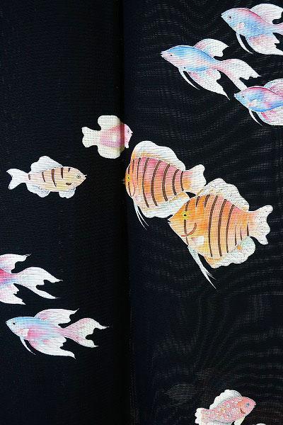 珍柄！夏着物 絽 訪問着 黒 熱帯魚 エンゼルフィッシュ 刺繍  正絹
