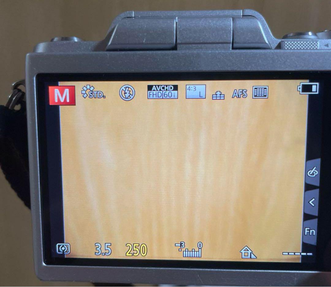 Panasonic DMC-GF7 ブラック　レンズ付き