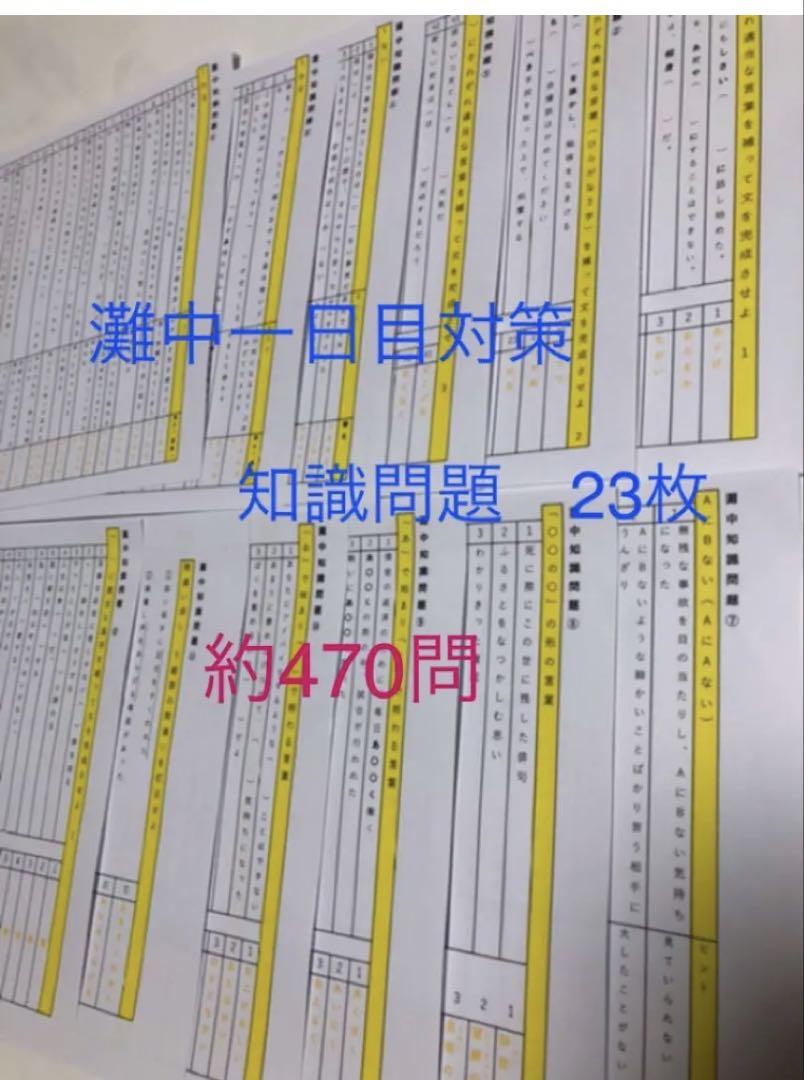 なっつりたーん　灘中　中学受験　国語 1日目対策資料　4セット