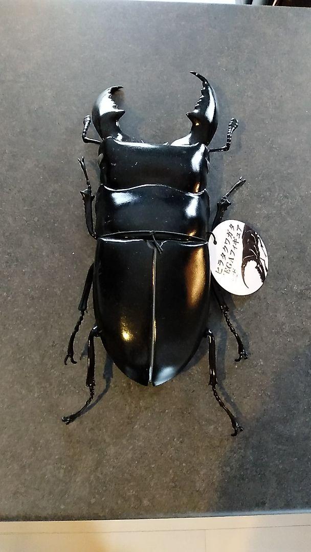フィギア 昆虫 ヒラタクワガタ 特大 極めて精巧 美術品
