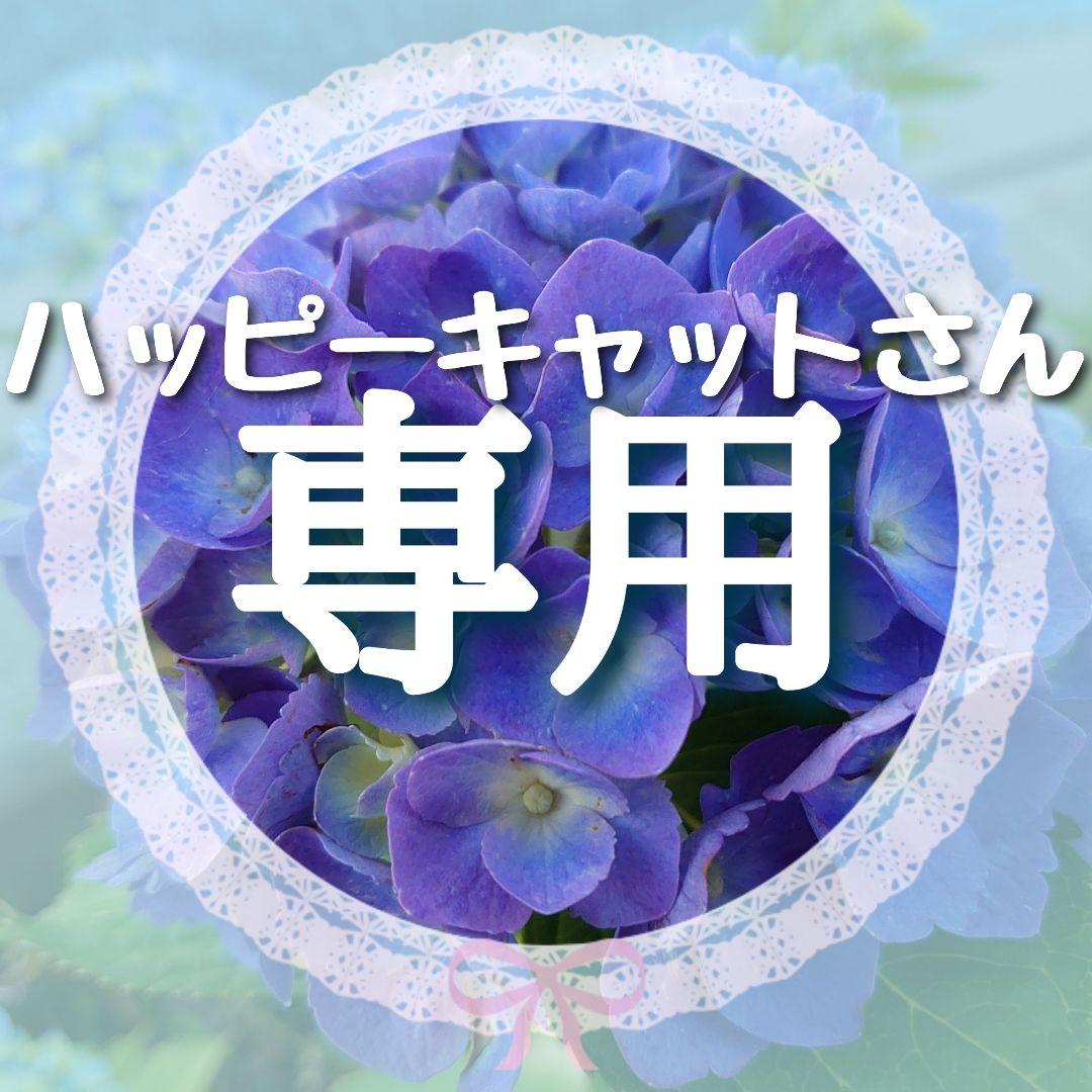 P④アジサイ「爛漫」10.5cmポット KAMOセレ 昨年の挿し木苗