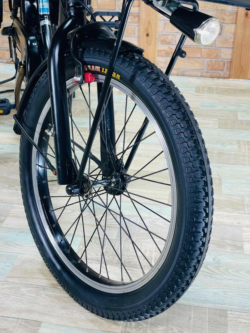 超人気色 王様 ギュットアニーズ子供乗せ電動アシスト自転車 H2083