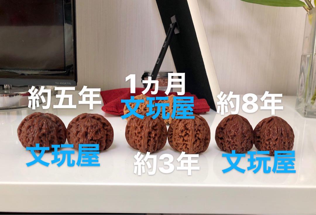 遊び胡桃 形揃い絶品 四座楼No.159クルミ 趣味 健康グッズ コレクション ブランドホビー・楽器・アート - 遊び胡桃 形揃い絶品 四座楼No