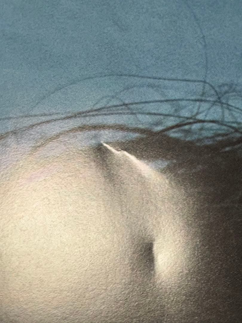 藤井風　MUSICA ポスター付き　２冊セット