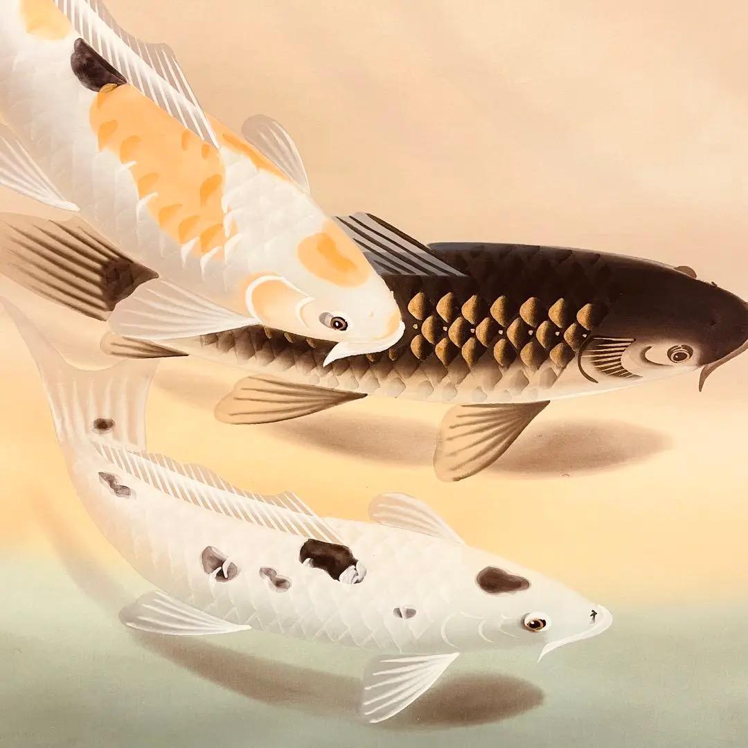 晄華筆『錦鯉』水墨画 一幅掛軸 晄華筆『錦鯉』水墨画 一幅掛軸 絵画