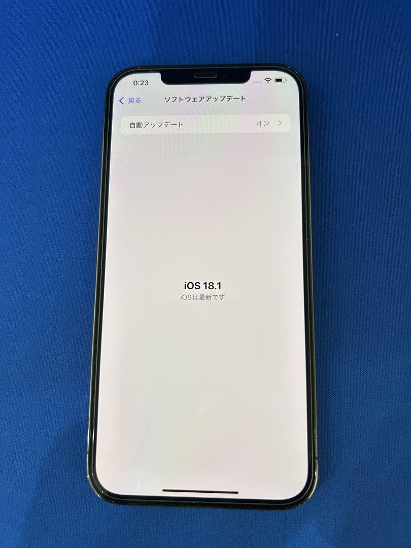 iPhone 12 Pro Max　128GB　SIMフリー　3ヶ月保証付