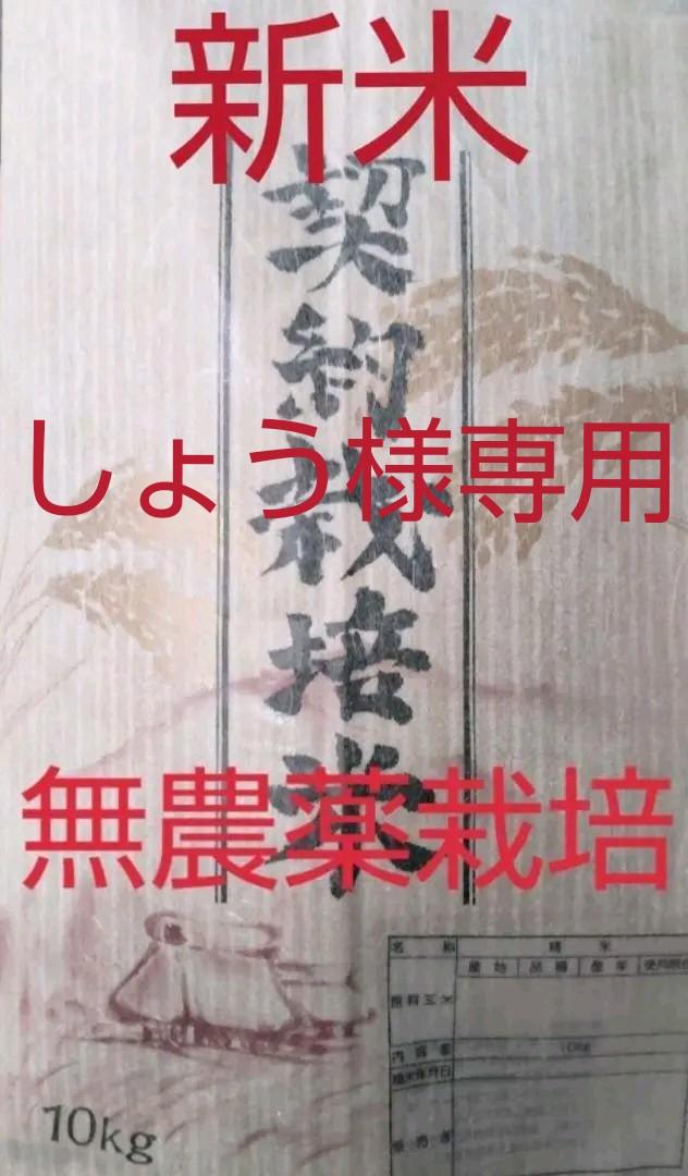 兵庫県丹波産 無農薬栽培コシヒカリ玄米10㎏×2袋（令和