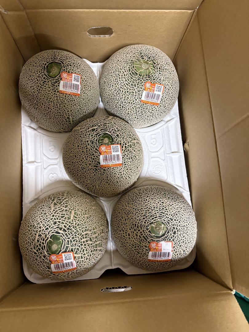 茨城県産　高級赤肉メロン　クインシーメロン　2L 5玉セット