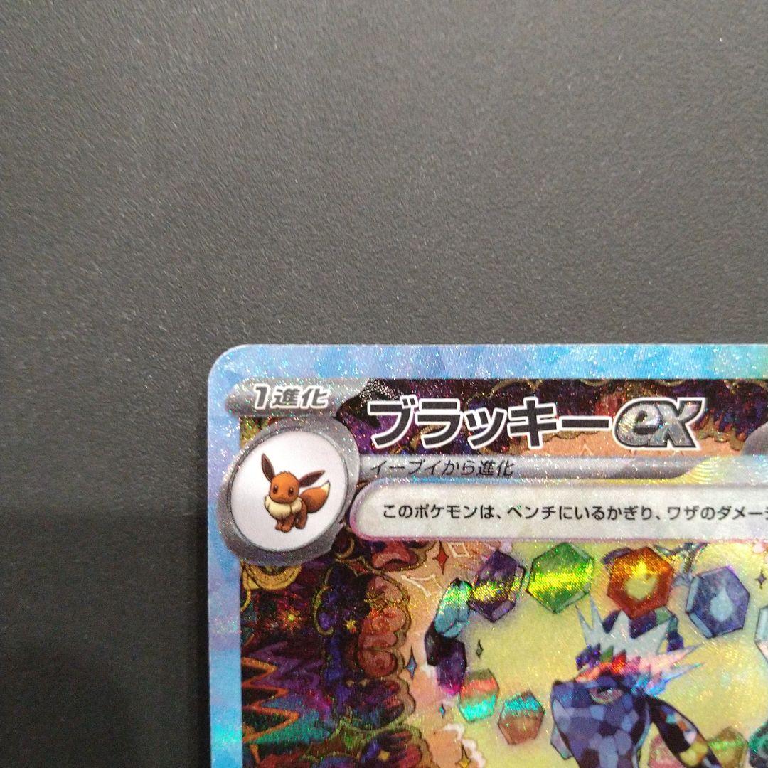 ブラッキーex SAR テラスタルフェス