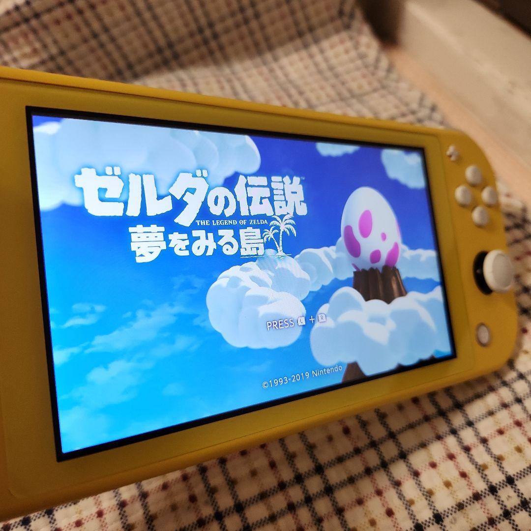 ニンテンドースイッチライト 本体　充電器　 ソフト付き ケース