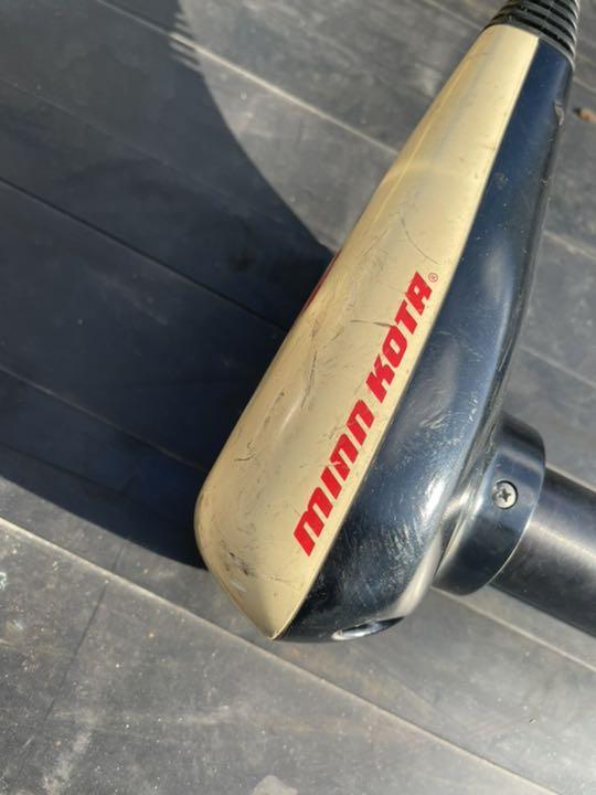 定番人気新品 ミンコタエレキ ErIpN-m49337252248 在庫あ