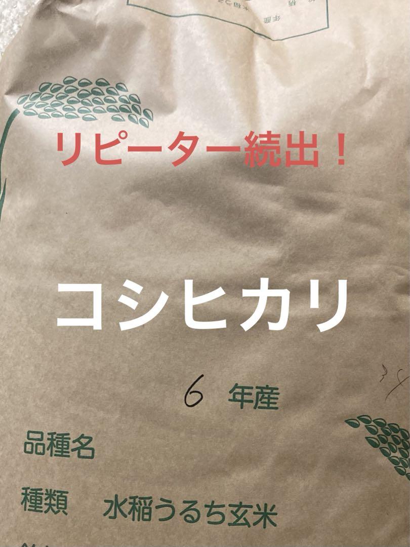 お米　玄米　コシヒカリ　埼玉県産　30キロ