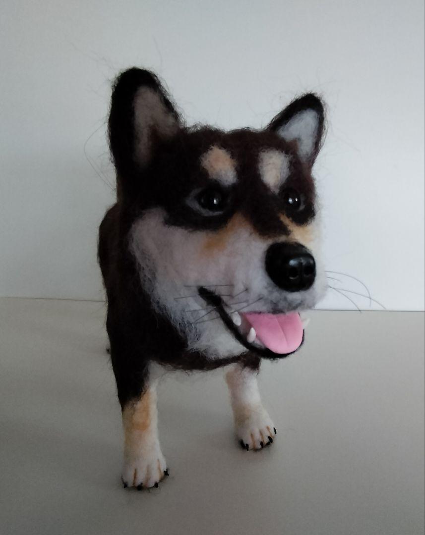 黒柴犬◆羊毛フェルト犬　ハンドメイド　舌出し　35cm