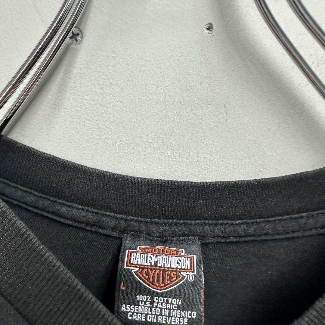 国内外の人気 HARLEY DAVIDSON KNOXVILLE 00s 定番ロゴ ロンT トップス