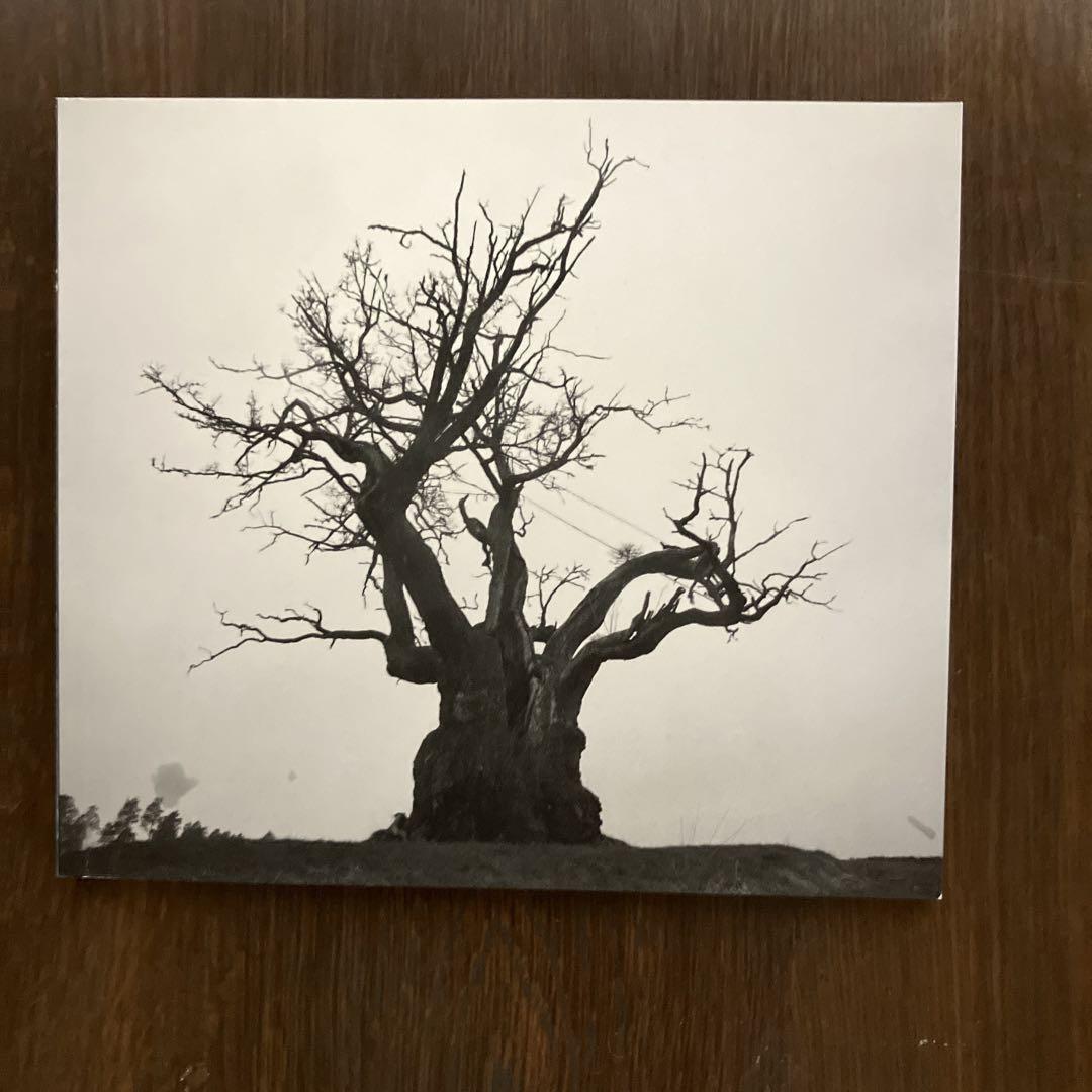 ミュージック SEKAINO OWARI BEST ALBUM 2010-2019
