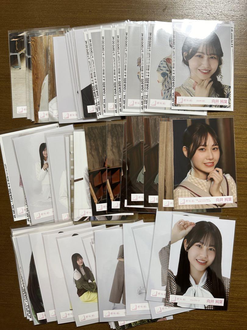 櫻坂46 向井純葉 生写真 まとめ売り 櫻坂46 向井純葉 生写真 まとめ売り