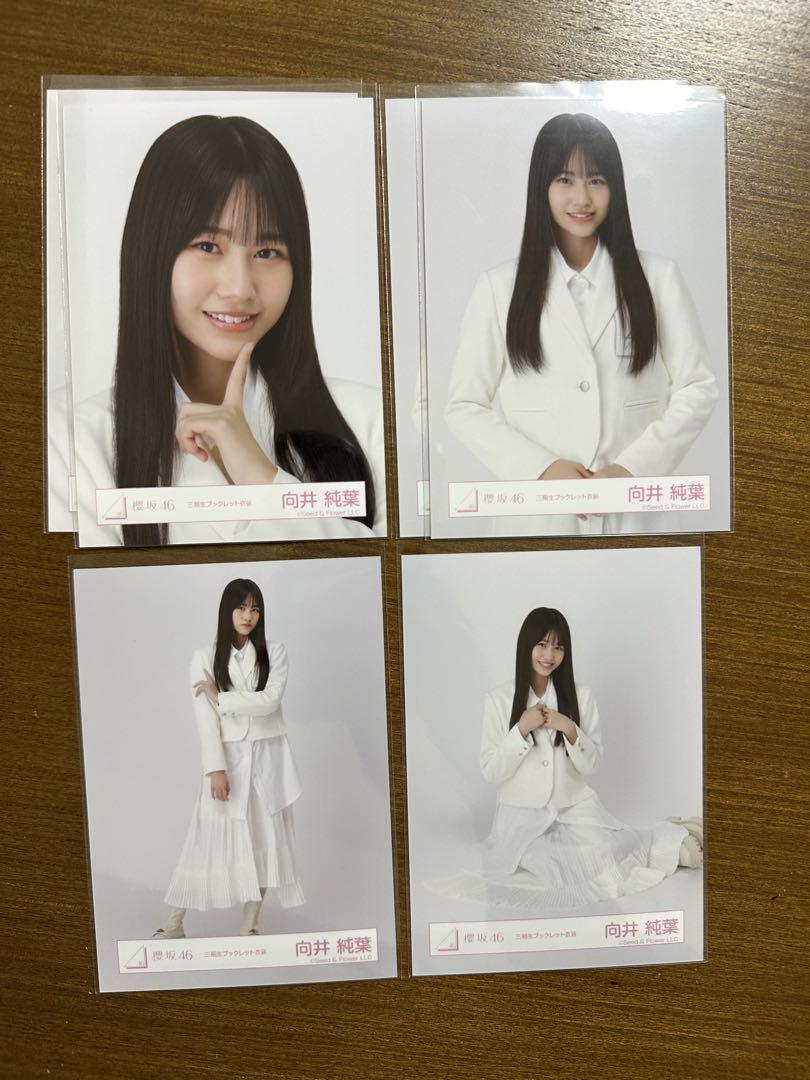 櫻坂46 向井純葉 生写真 まとめ売り
