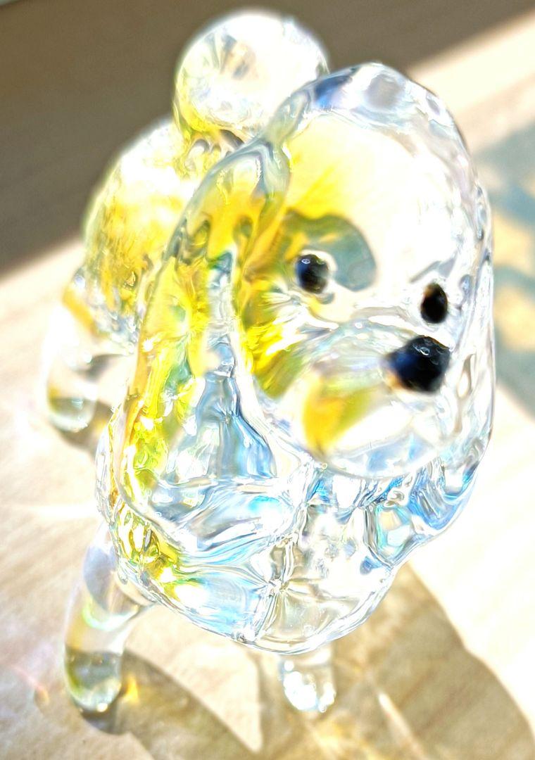陽ちゃん❀名犬サンキャッチャー❀
