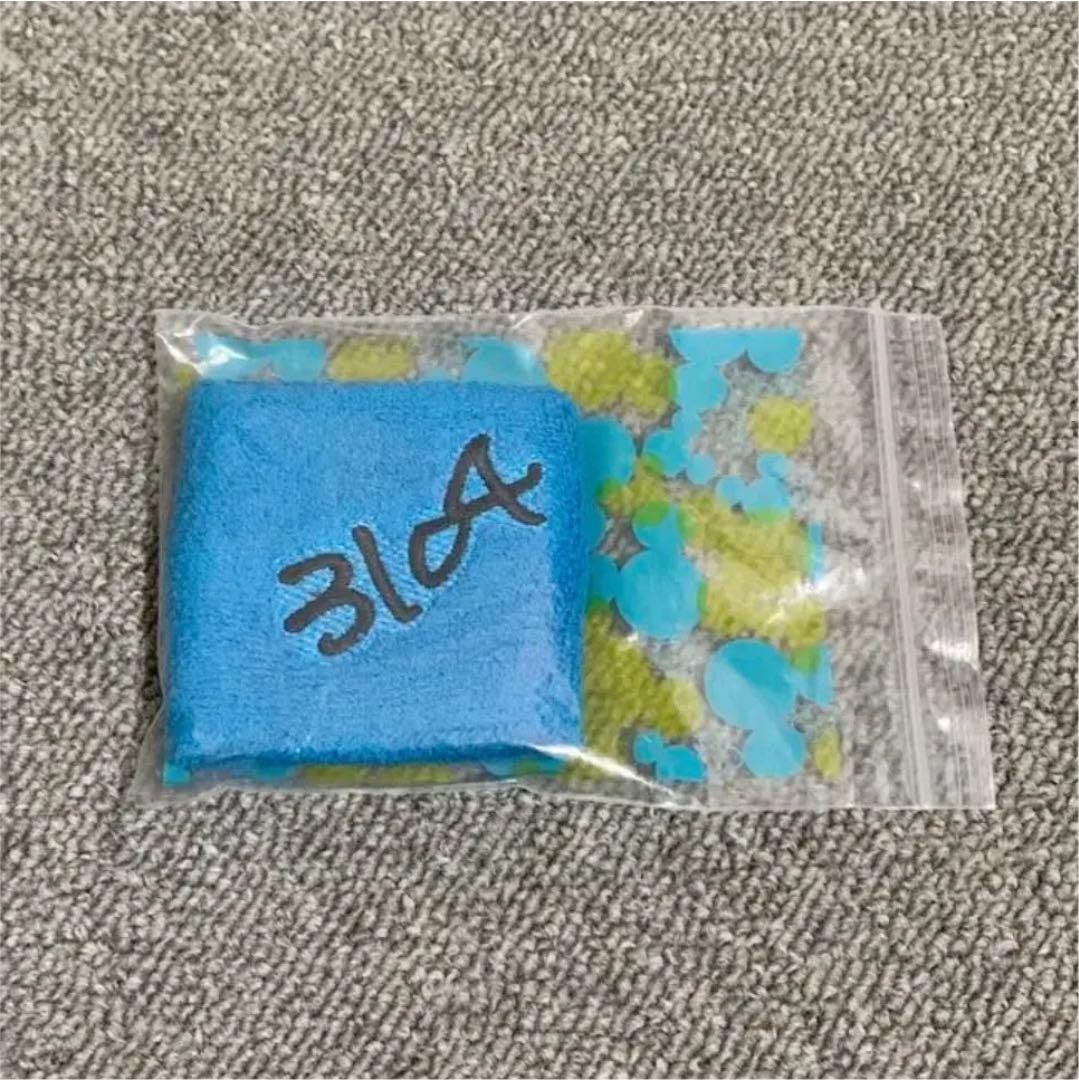 希少品！ソロコンサート リストバンド
