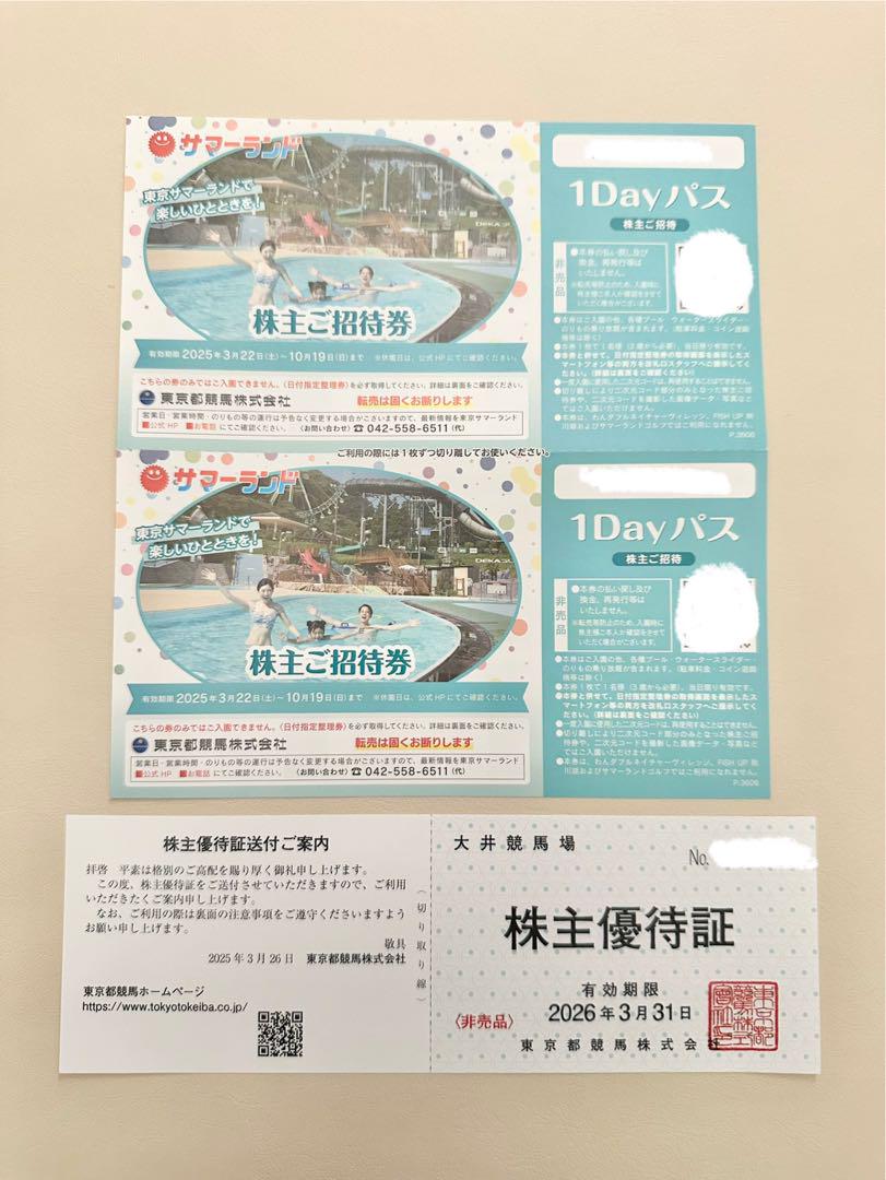 東京サマーランド 1Dayパス 招待券 2枚