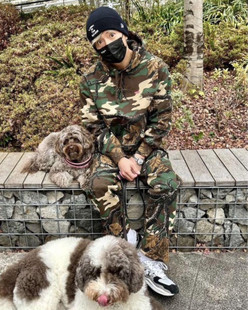 Supreme Small Box Hooded Sweatshirt Camo