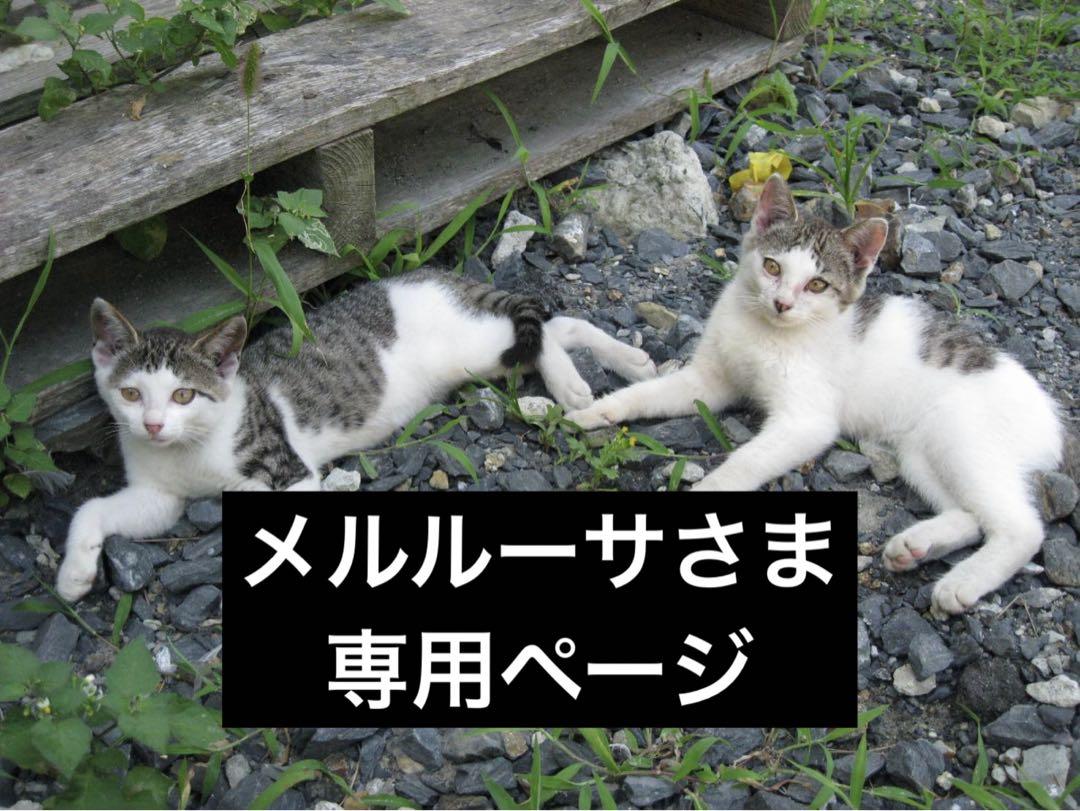 専用ページになります