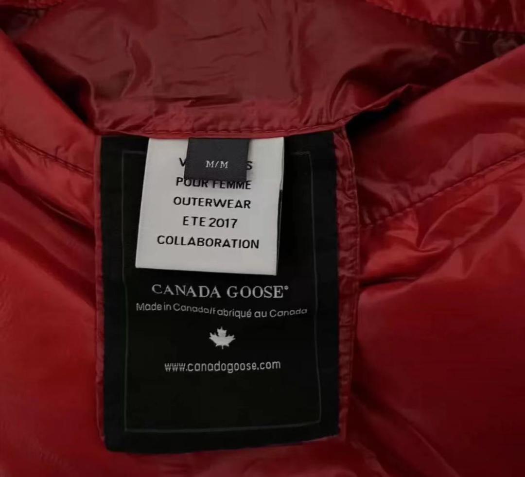 VETEMENTS × CANADA GOOSE 17SS Macmillan