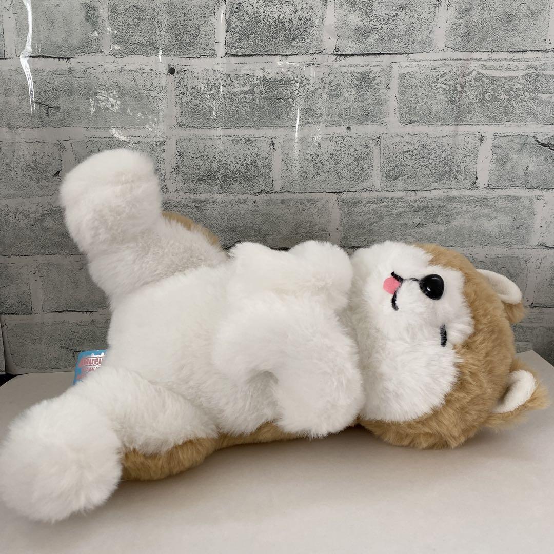 へそ天 秋田犬 コンパクト ぬいぐるみ JB-T 特 タイトー限定