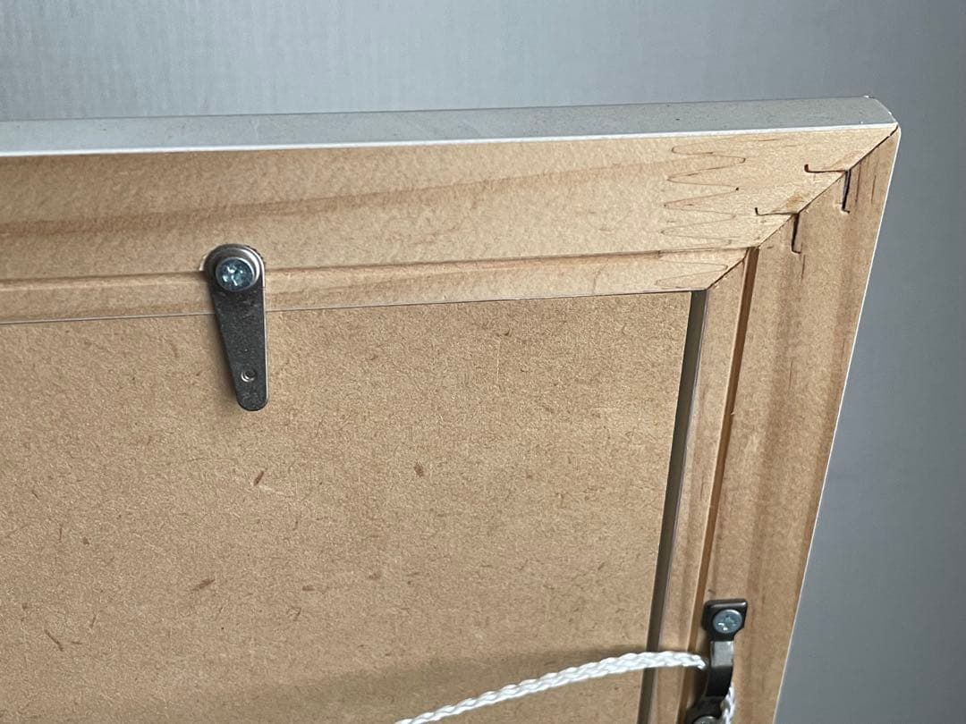 ポケモン コレクタブルアート レッド&ピカチュウ 20周年 杉森健