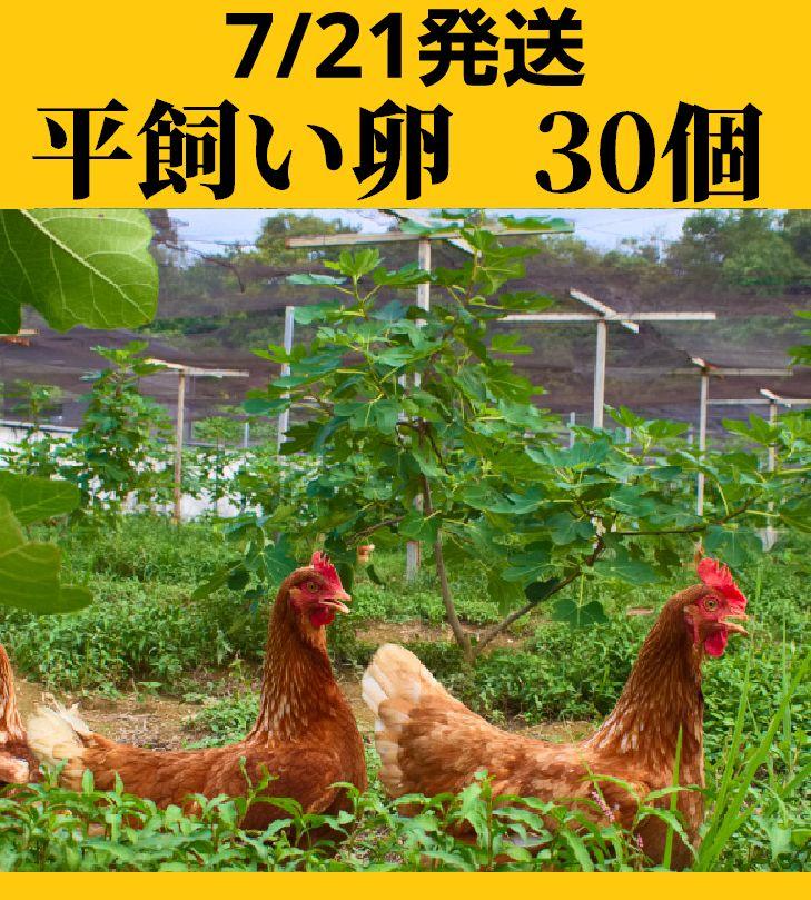 平飼い卵90個7/2常温発送 平飼い卵30個 クール便 発送日少し先になるかも - メルカリ