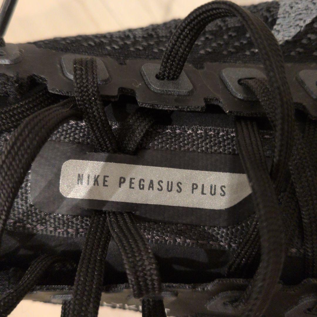 Nike Pegasus Plus ペガサスプラス 26cm 箱あり