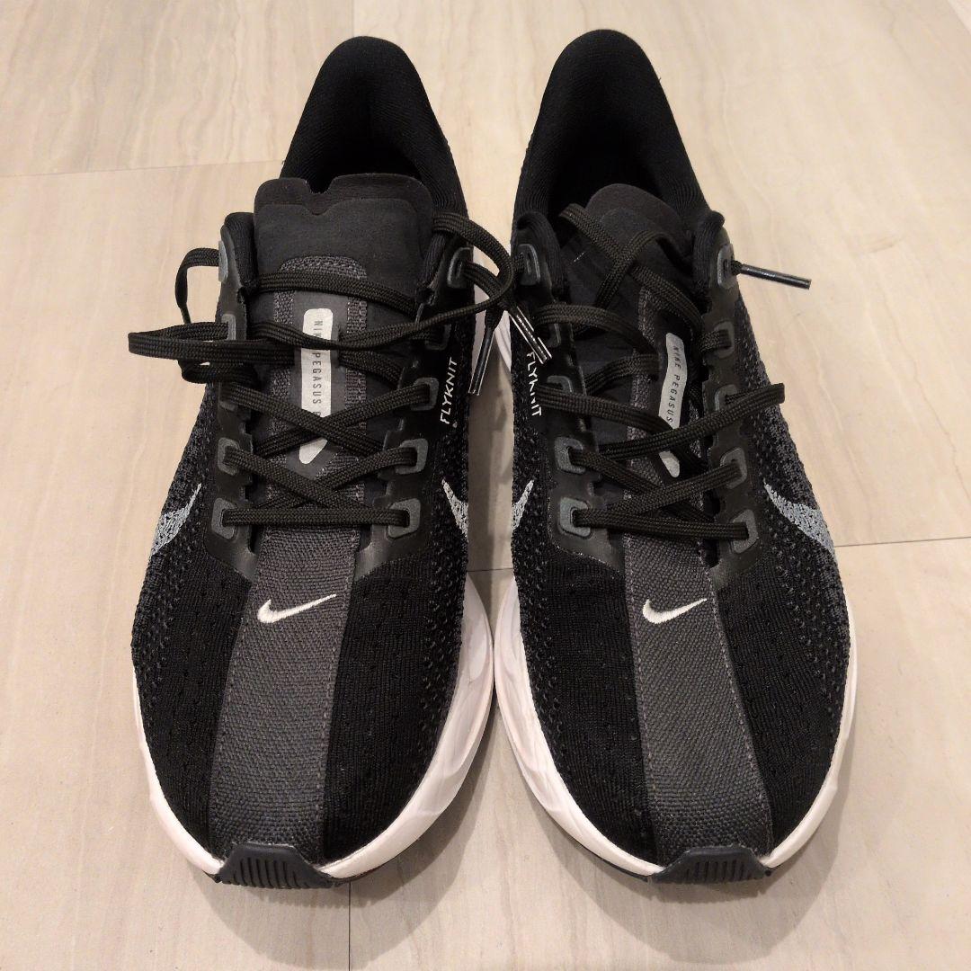 Nike Pegasus Plus ペガサスプラス 26cm 箱あり