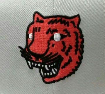〈美品〉【US限定】ニューエラ × Detroit Tigers キャップ