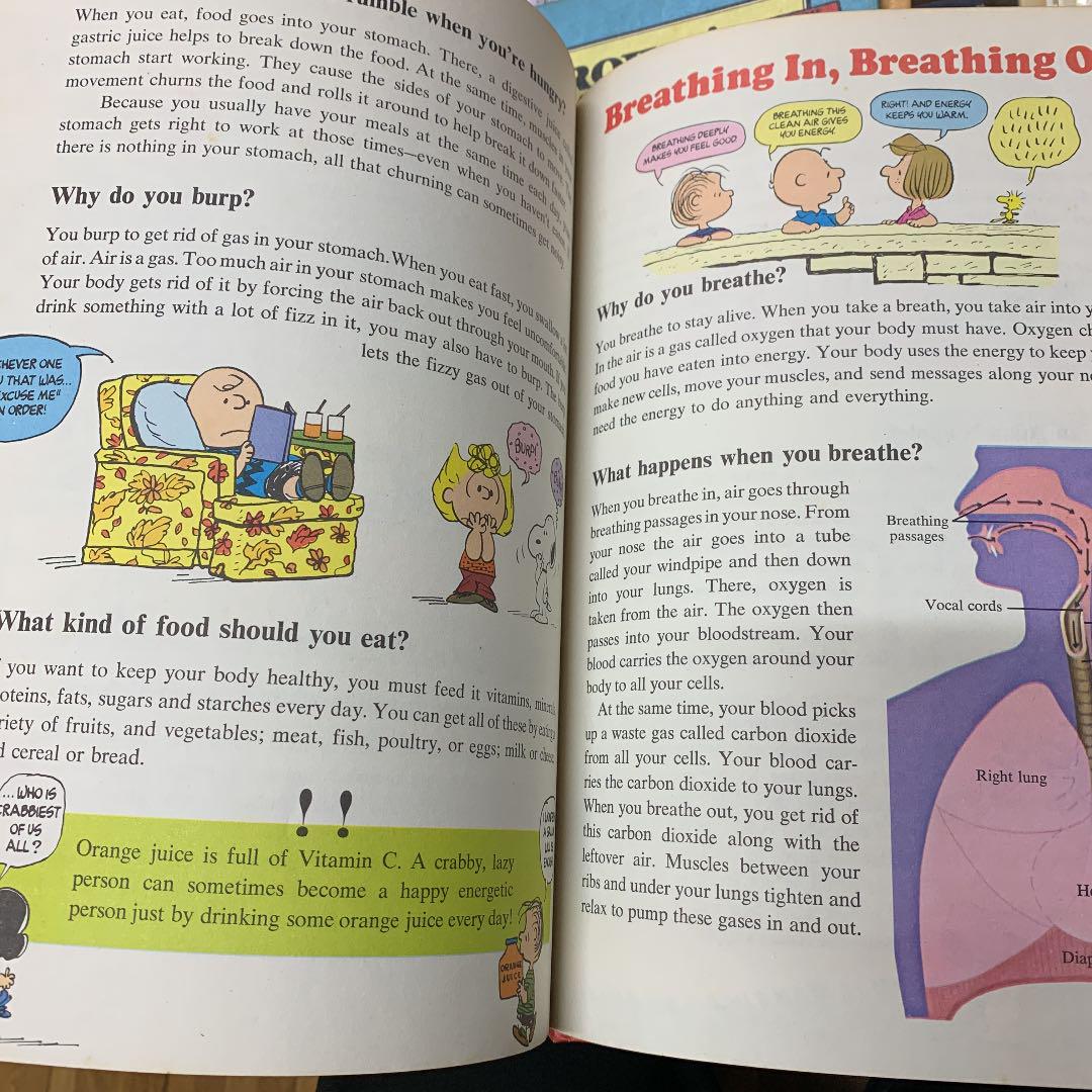 Charliebrown’s volume1-6スヌーピー obfCc-m49556464003 cyclopedia 限定品得価