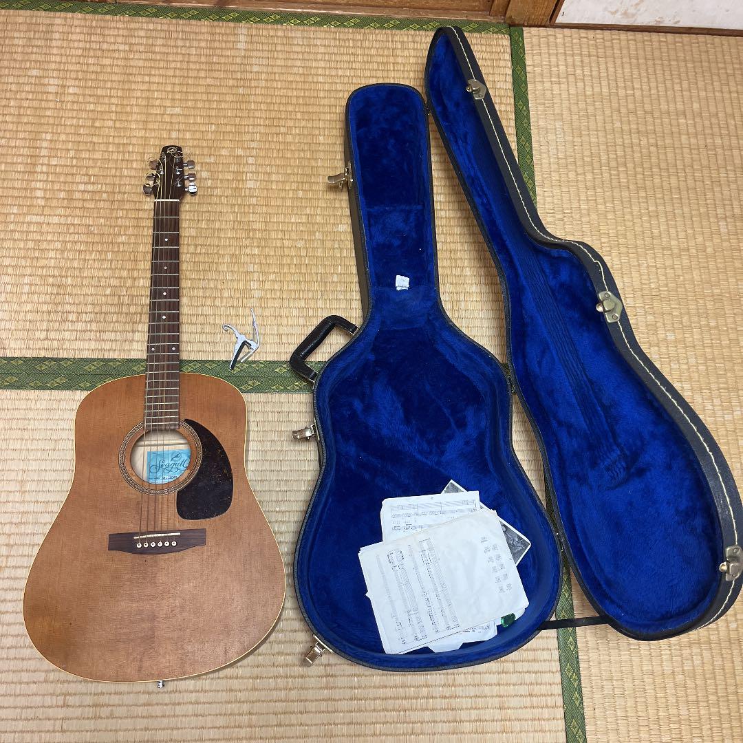 ブルー系素晴らしい品質 カナダのSeagullと言うブランドです。 アコースティックギター 楽器/器材ブルー系¥23,760-www.kenton.com.tr ブルー系素晴らしい品質 カナダのSeagullと言うブランドです。 アコースティックギター 楽器/器材ブルー系¥23,760-www.kenton.com.tr